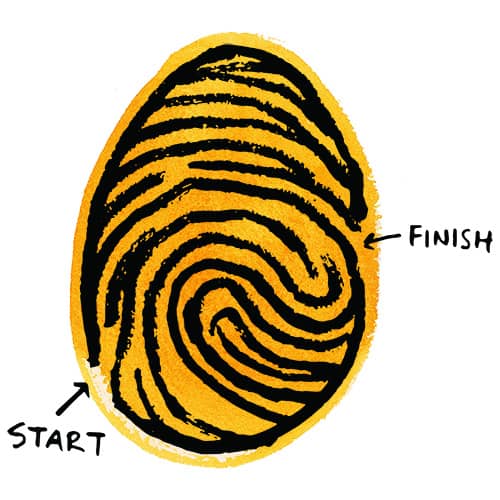 a fingerprint presented as a maze