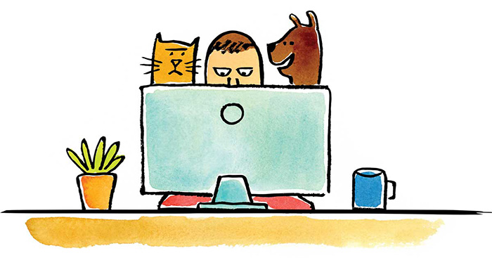 a person at a computer with a dog and cat looking over their shoulder